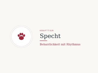 Krafttier Specht: Bedeutung und Botschaft