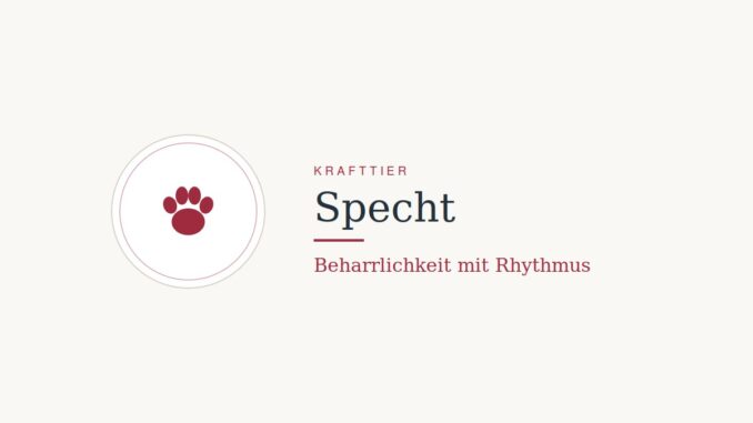 Krafttier Specht: Bedeutung und Botschaft