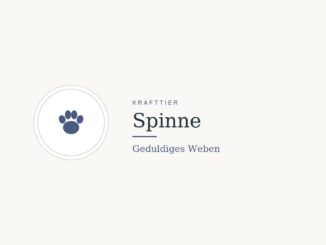Krafttier Spinne: Bedeutung und Botschaft