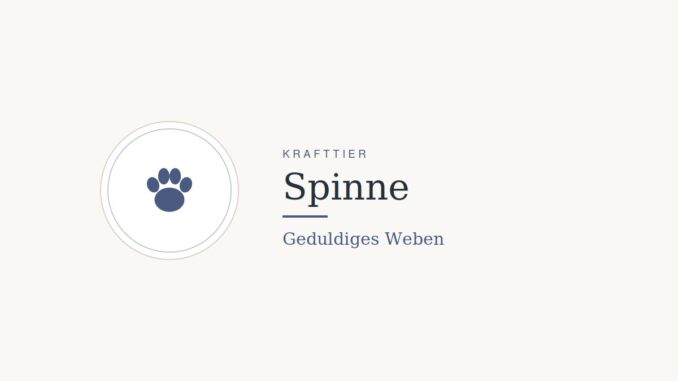 Krafttier Spinne: Bedeutung und Botschaft