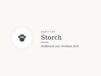 Krafttier Storch: Bedeutung und Botschaft