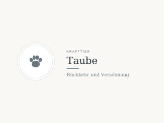 Krafttier Taube: Bedeutung und Botschaft