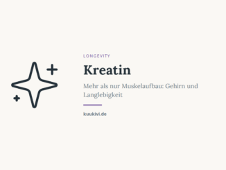 kreatin gehirn langlebigkeit featured