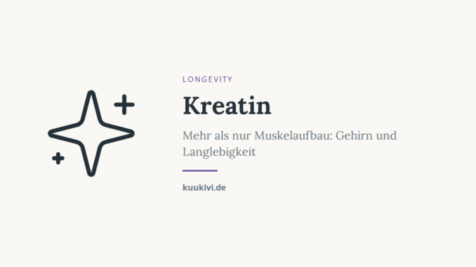 kreatin gehirn langlebigkeit featured