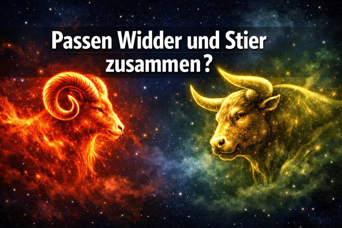 Elegantes Passen Widder Und Stier Zusammen Ebenbild