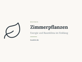 Zimmerpflanzen – Energie und Raumklima im Einklang