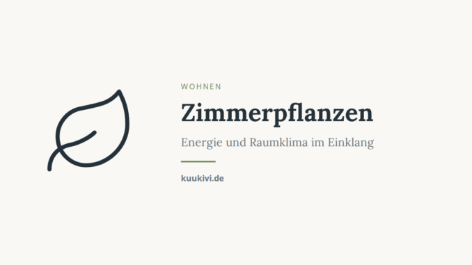 Zimmerpflanzen – Energie und Raumklima im Einklang