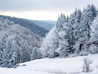 winter