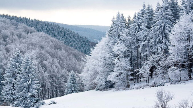winter winter