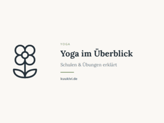 Yoga im Überblick – Schulen & Übungen erklärt